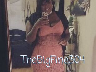 TheBigFine304