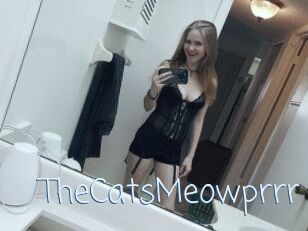 TheCatsMeowprrr