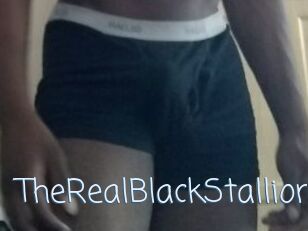 TheRealBlackStallion1