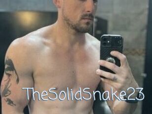 TheSolidSnake23