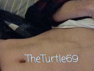 TheTurtle69