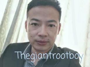 Thegiantrootboy