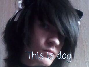 This_is_dog