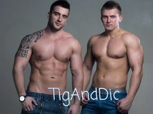 TigAndDic