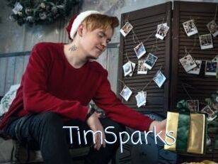 TimSparks