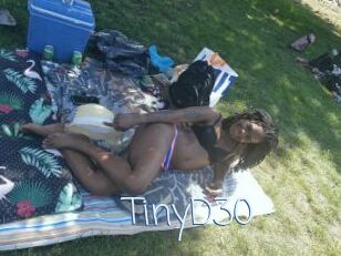 TinyD30