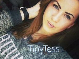 TinyTess