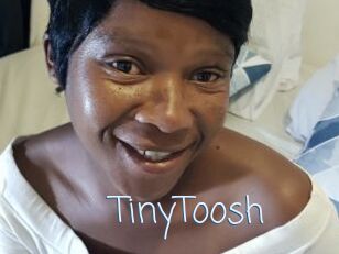 TinyToosh