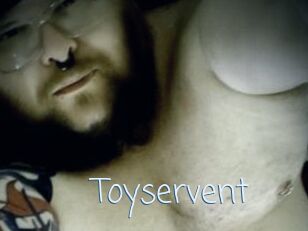 Toyservent
