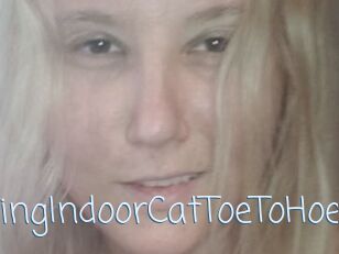 TravellingIndoorCatToeToHoe