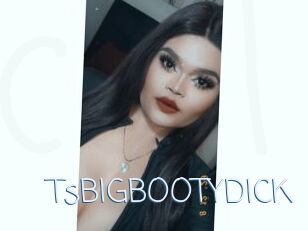 TsBIGBOOTYDICK