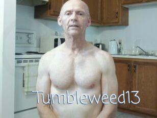 Tumbleweed13