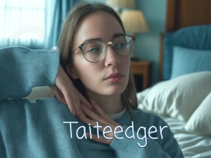 Taiteedger