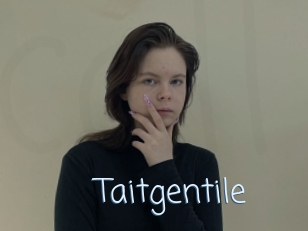 Taitgentile
