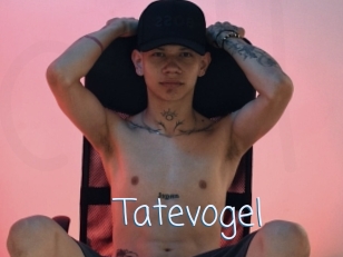 Tatevogel