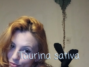 Taurina_sativa