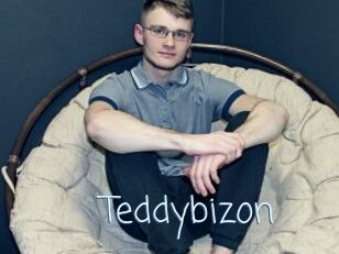 Teddybizon