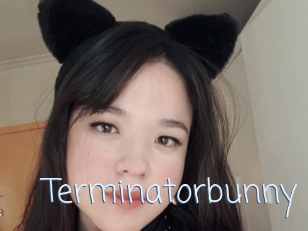 Terminatorbunny