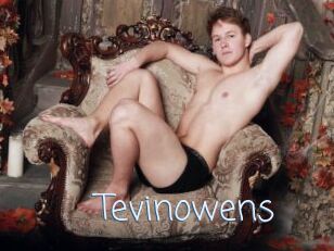 Tevinowens