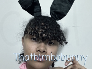 Thatbimbobunny