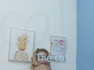 The_cat