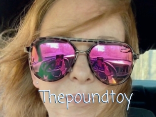 Thepoundtoy