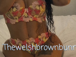 Thewelshbrownbunny