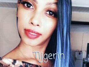 Tijgerin