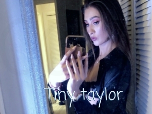 Tiny_taylor