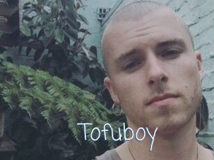 Tofu_boy