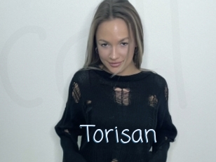 Torisan