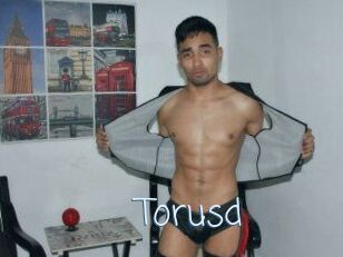 Torusd