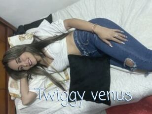 Twiggy_venus