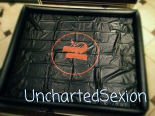 UnchartedSexion
