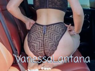 VanessaLantana