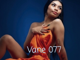 Vane_077