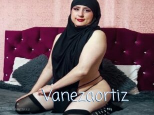 Vanezaortiz