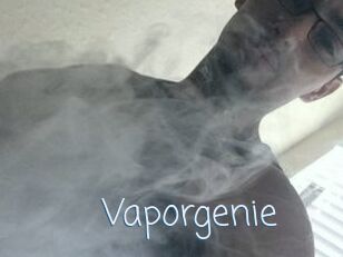 Vapor_genie