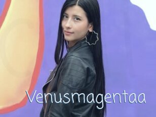 Venusmagentaa
