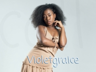 Violetgraice