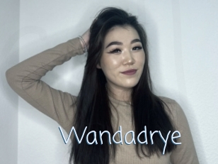 Wandadrye