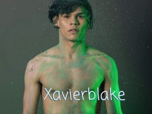 xavierblake Callsex