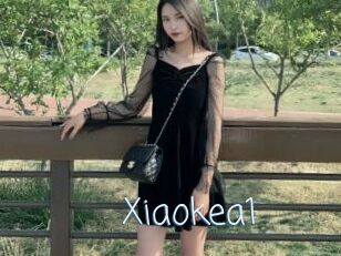 Xiaokea1