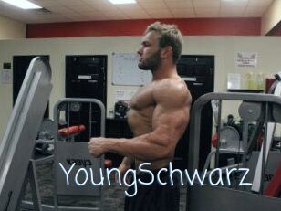 YoungSchwarz