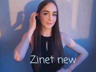 Zinet_new