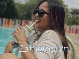 Zattinmartin